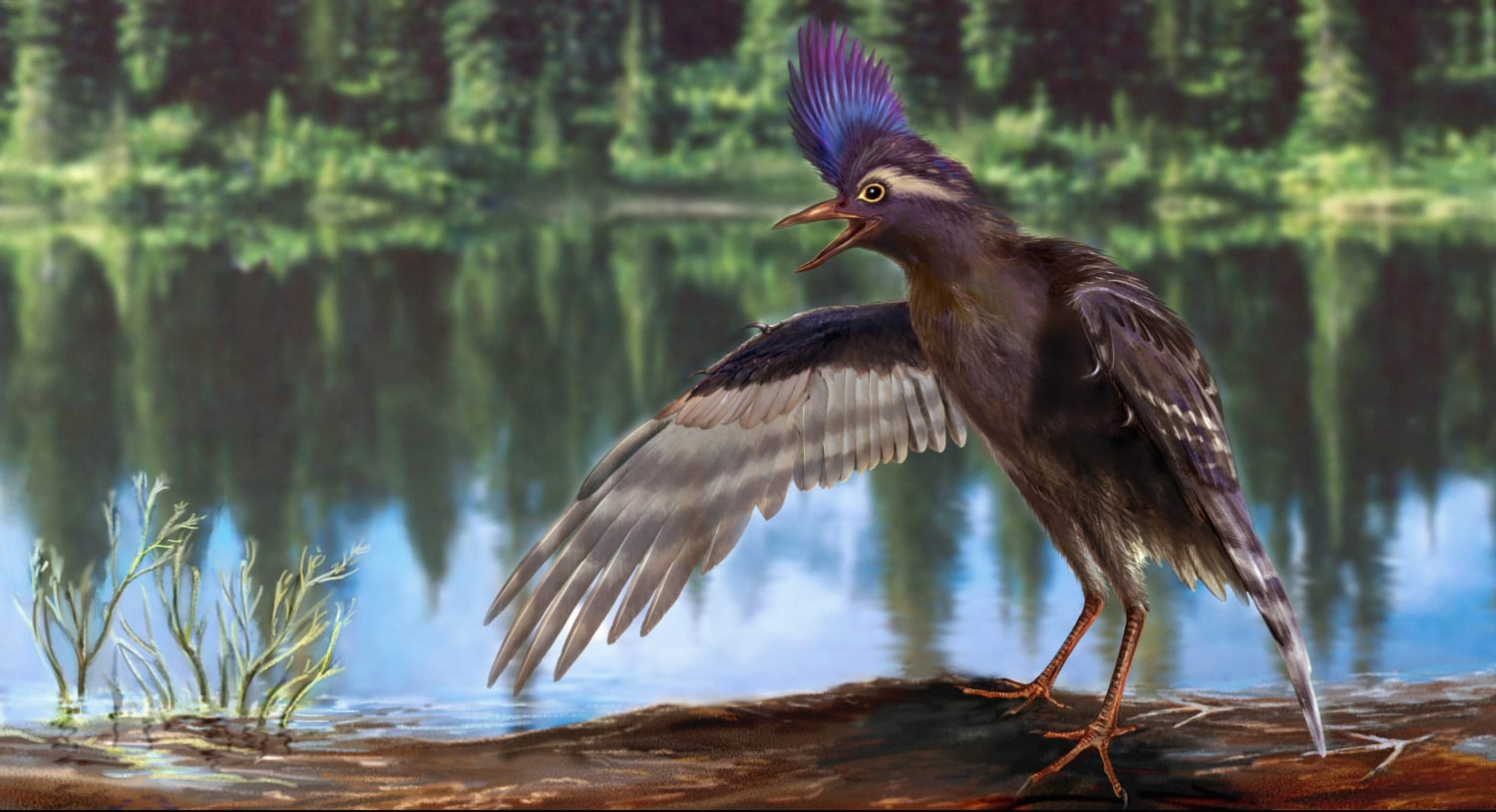 Old bird. Первые птицы. Древние птицы. Доисторические птицы. Современные птицы.