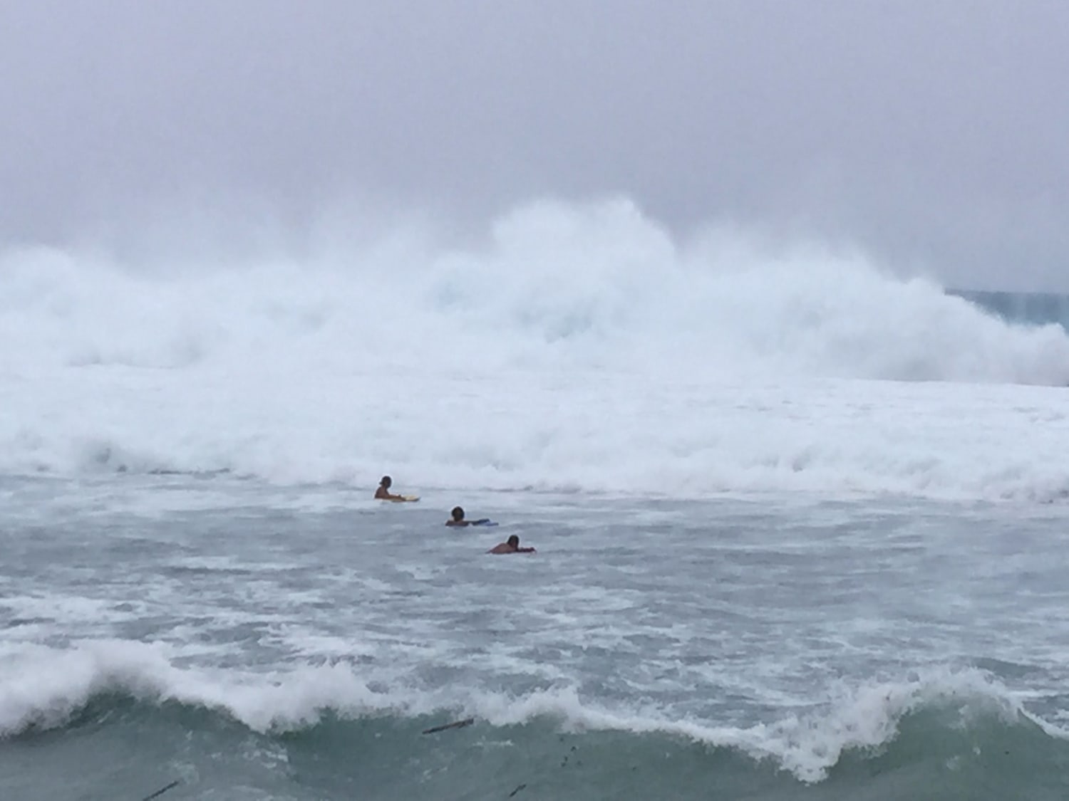 тайфуны в индийском океане. циклон. тайфун ида. птица тайфун. пестроголовый буревестник.