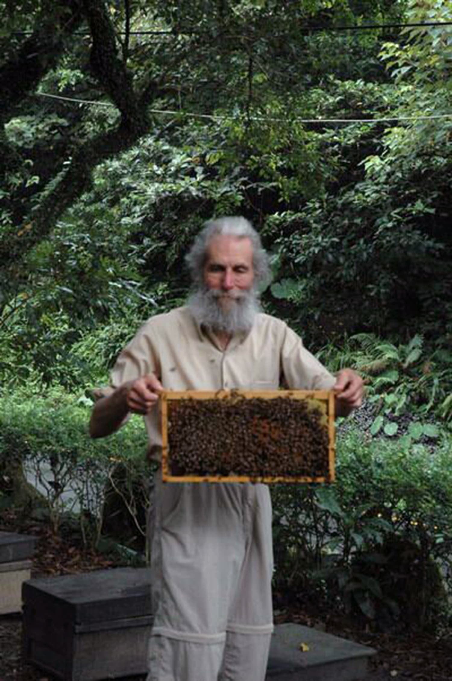 File:Burts Bees Lip Balm.jpg - Wikipedia