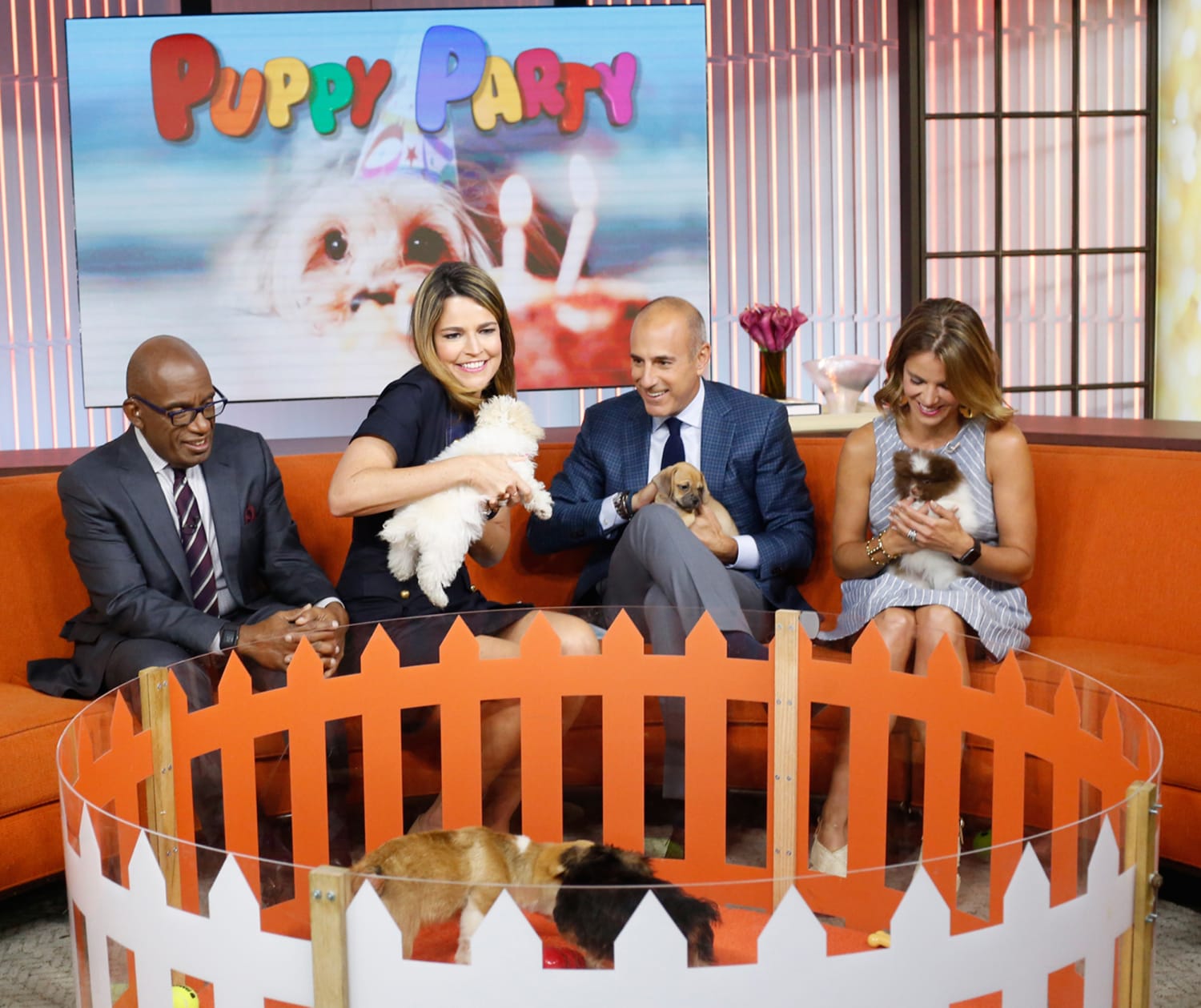 Puppy party cheap today show