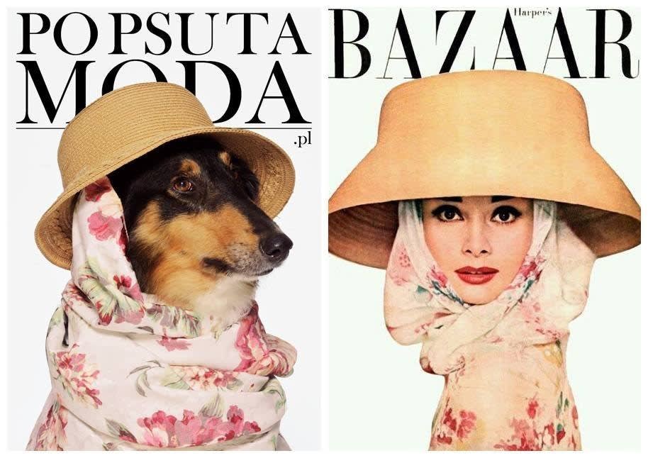 fotorealistic image of three cute pets dressed elegantly magazine cover Dogsmopolitan