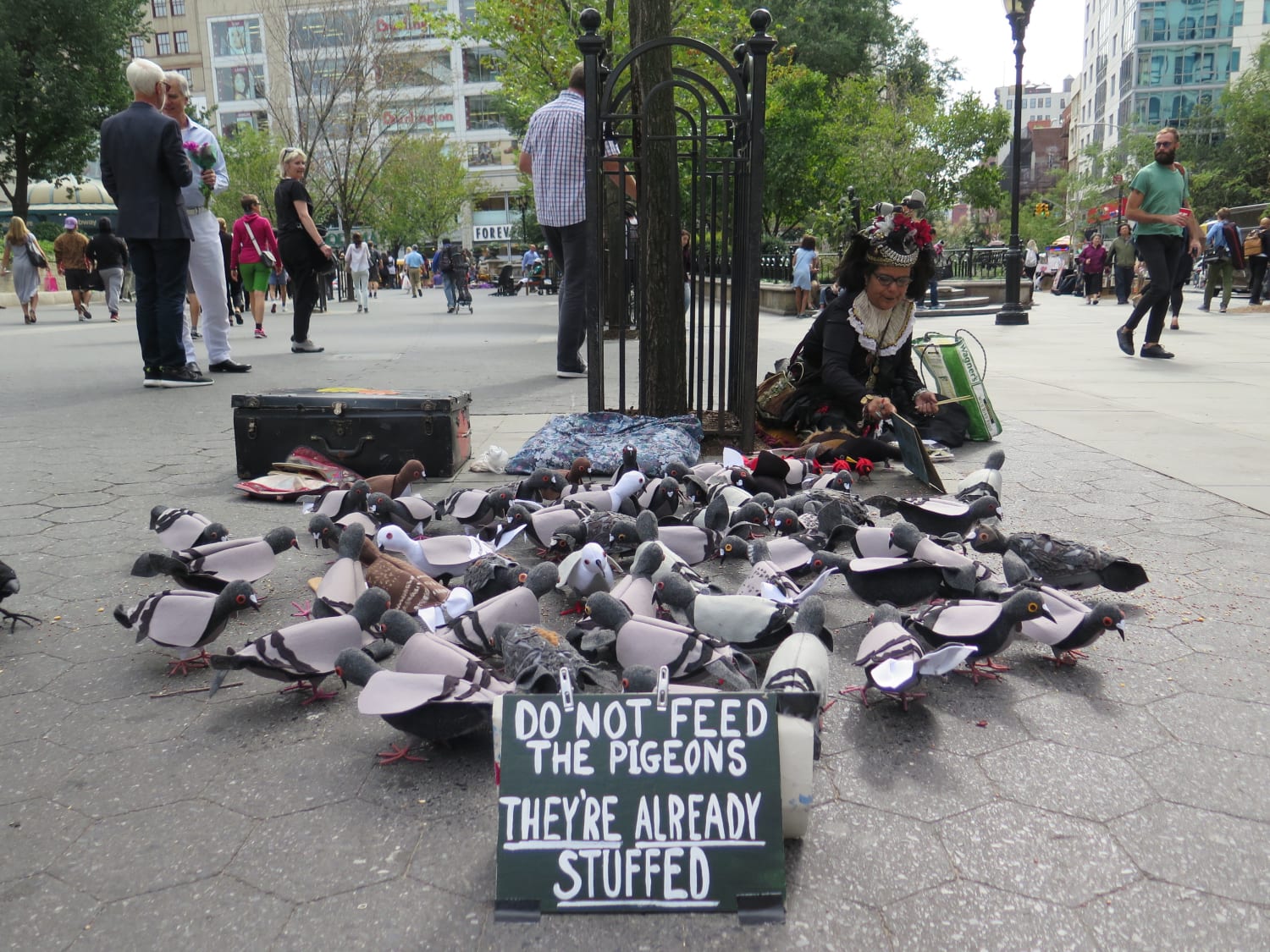 Think Pigeons Are A Nuisance Meet New York City S Pigeon Whisperer