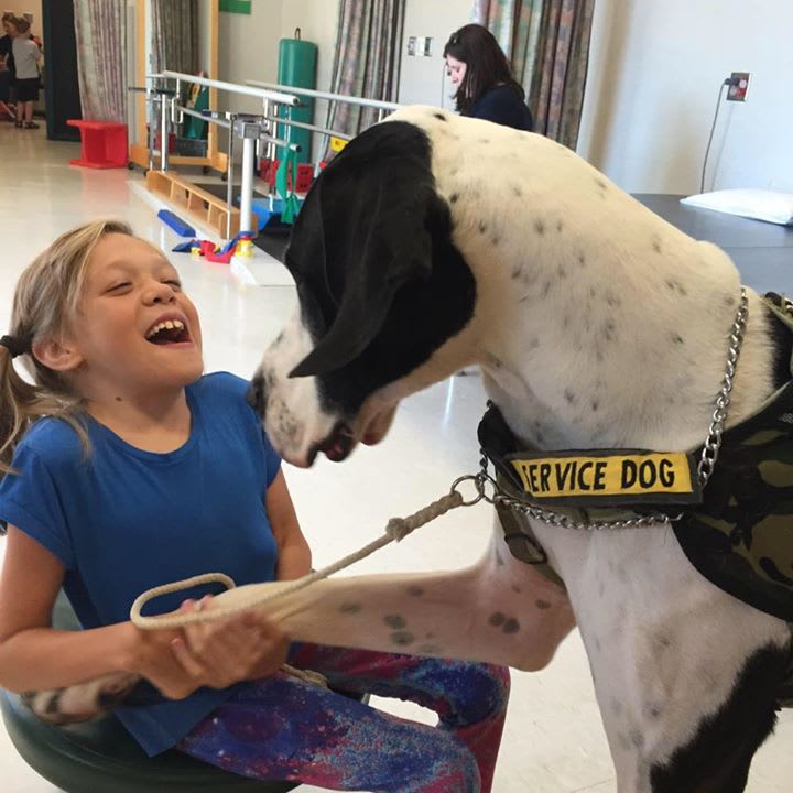 are great danes good service dogs