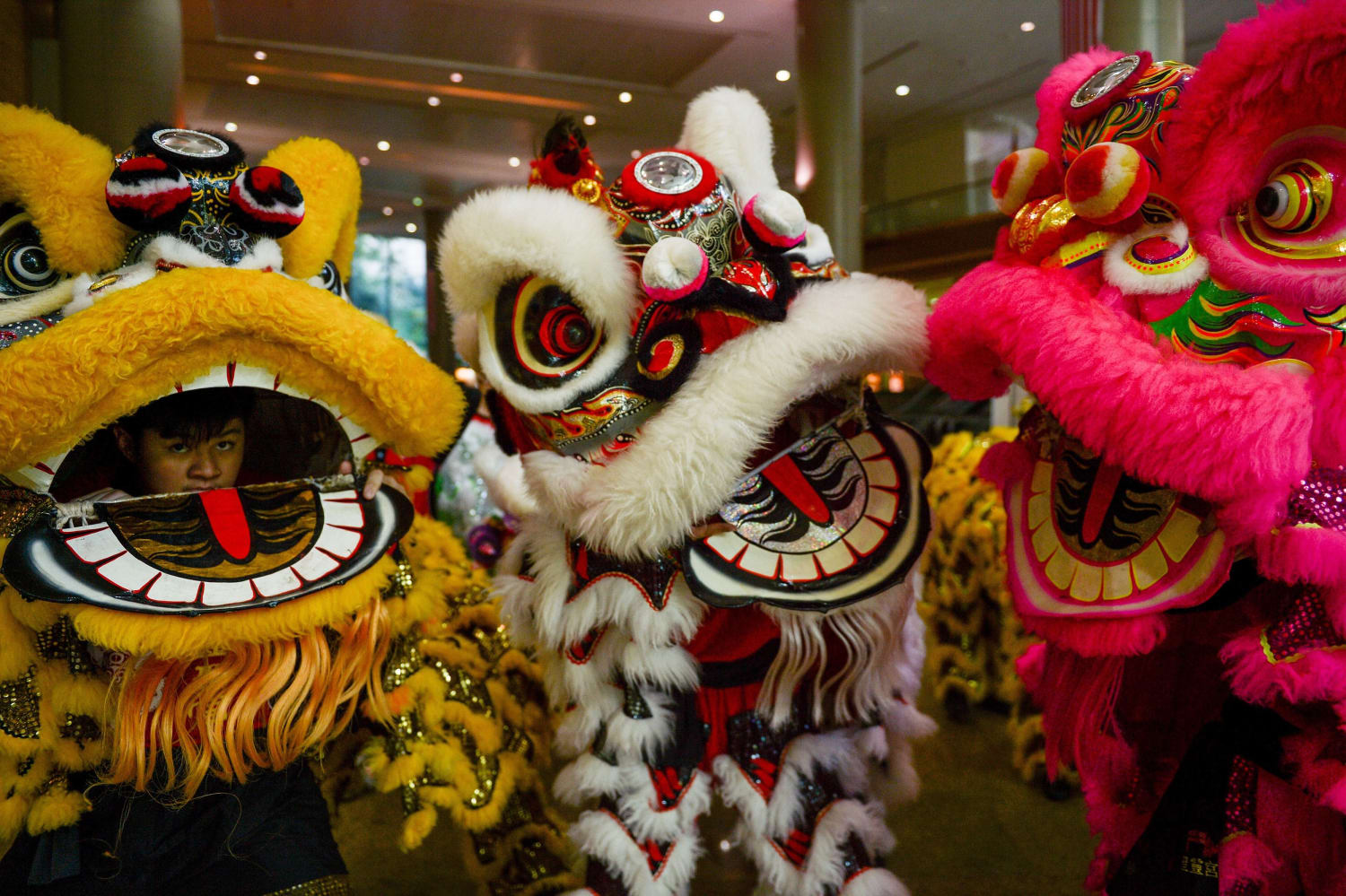 Celebrations Acrobatics And Chasing Nian Lion Dancers Prepare For Lunar New Year