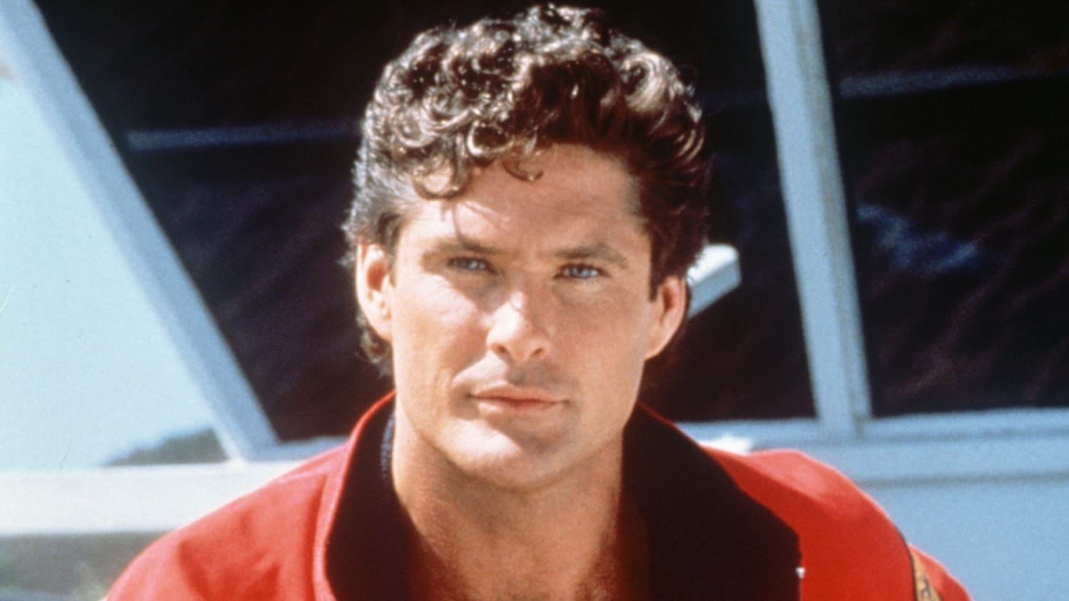 13558 David Hasselhoff Photos  High Res Pictures  Getty Images