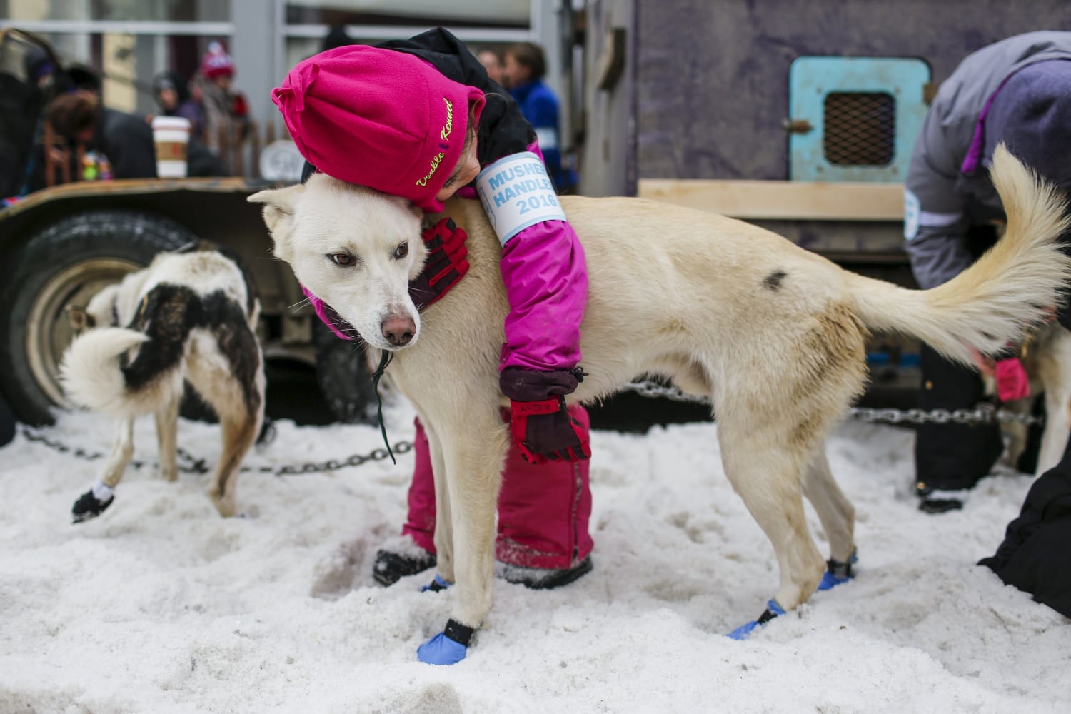 Iditarod Sled Dog Race Takes Off Despite Warmer Weather, image size:1500x1000