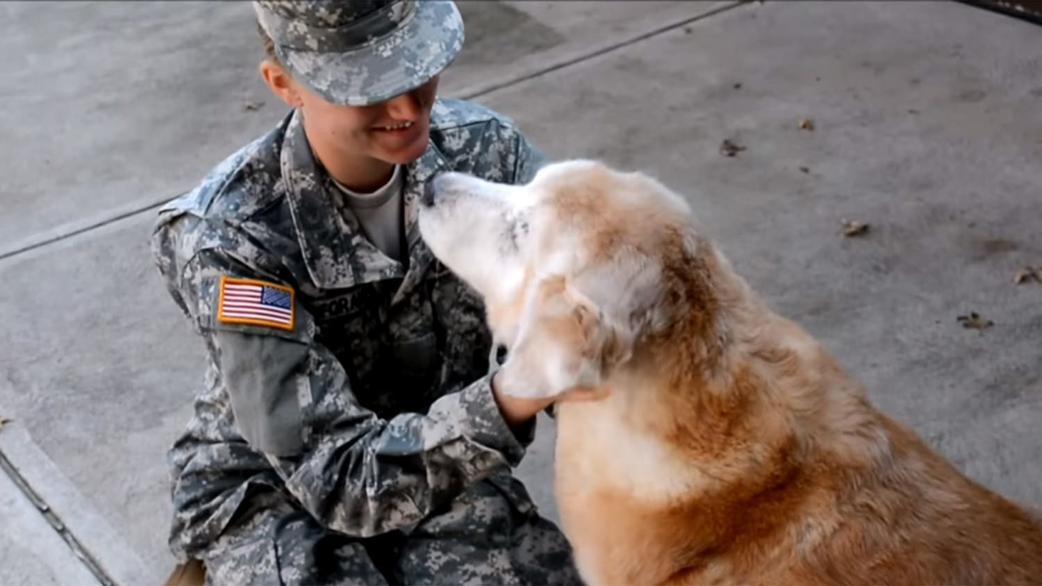 Home from basic training, soldier reunites with 13-year-old dog in  heartwarming video