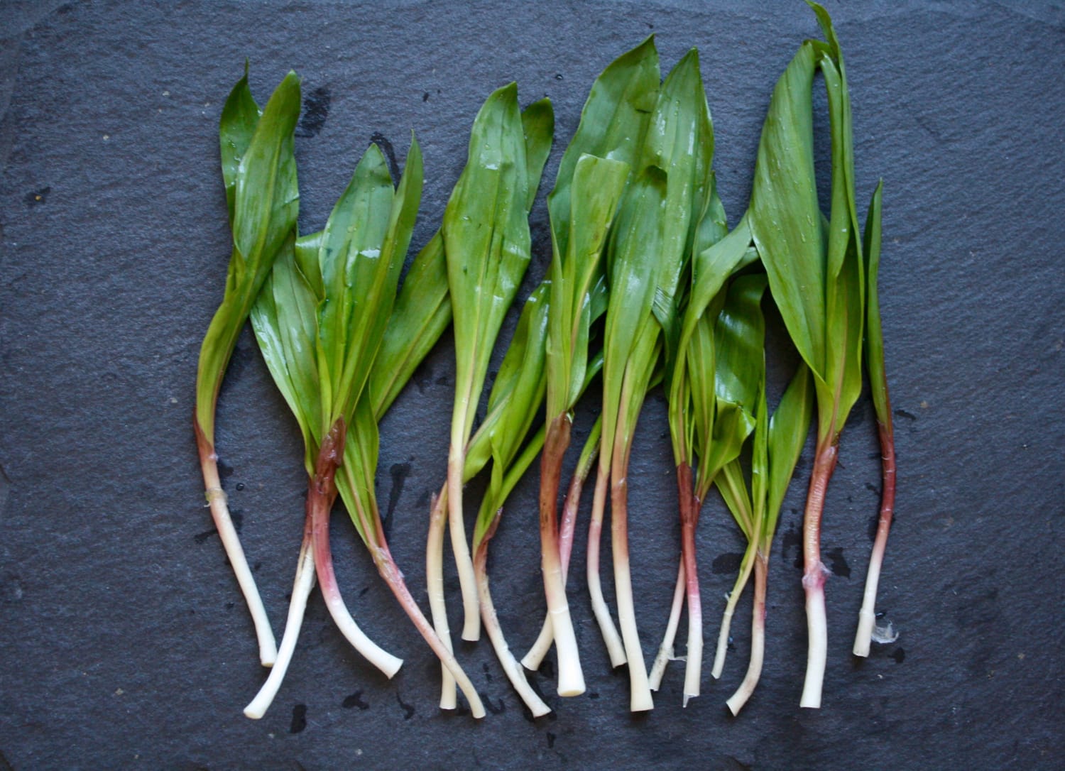 RAMPS