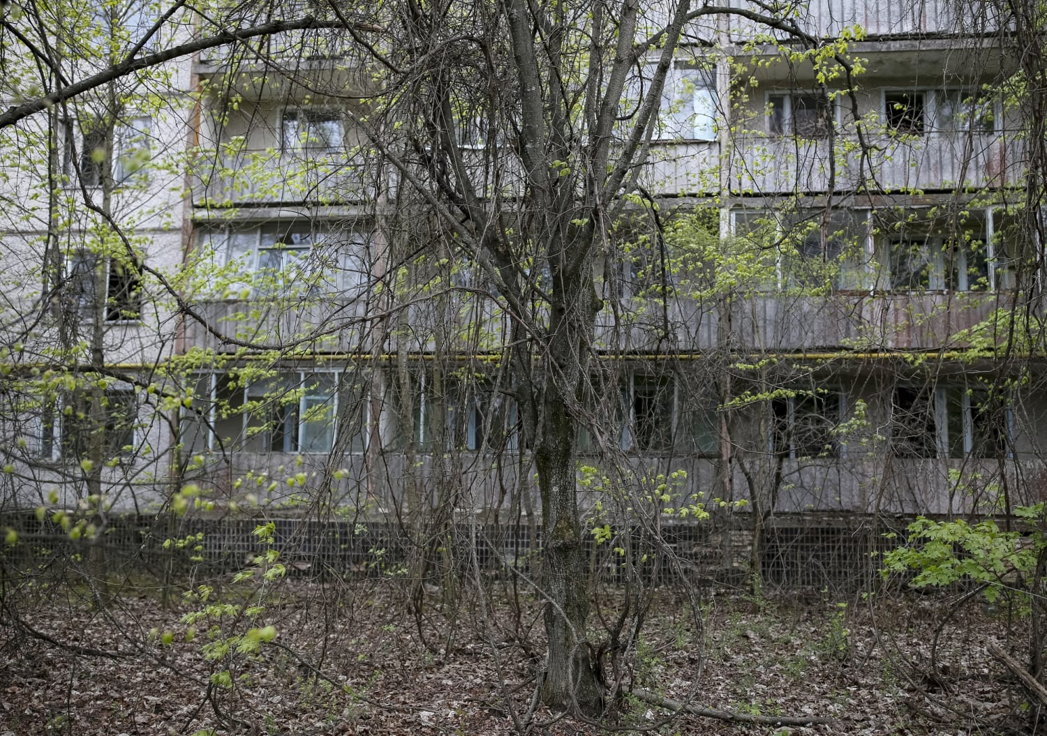 Славутич Чернобыль зона отчуждения