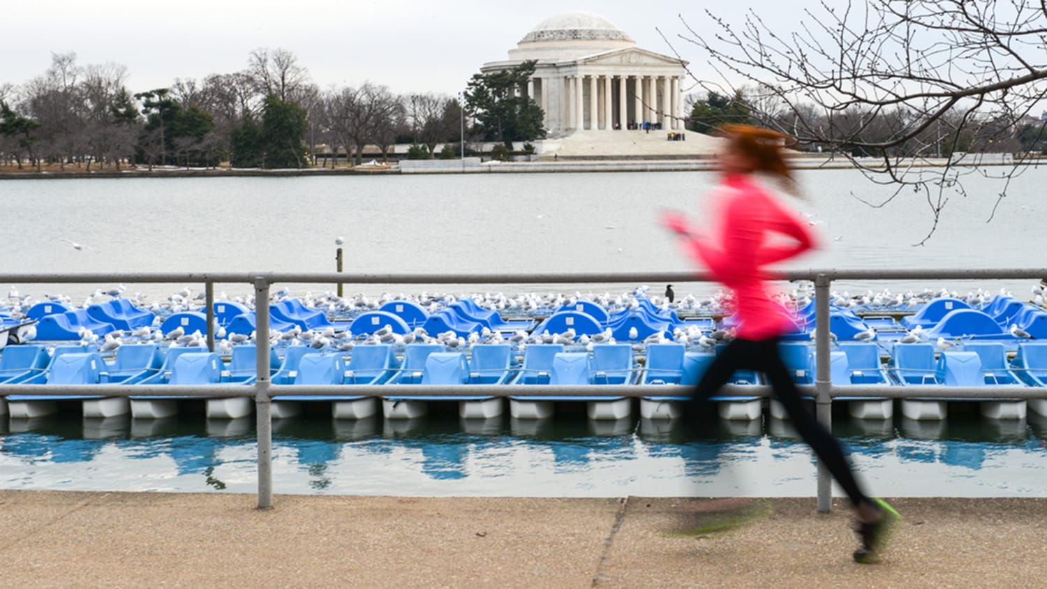 Washington Dc Is The Fittest City In The U S