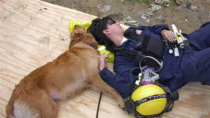 when did the last 911 rescue dog die