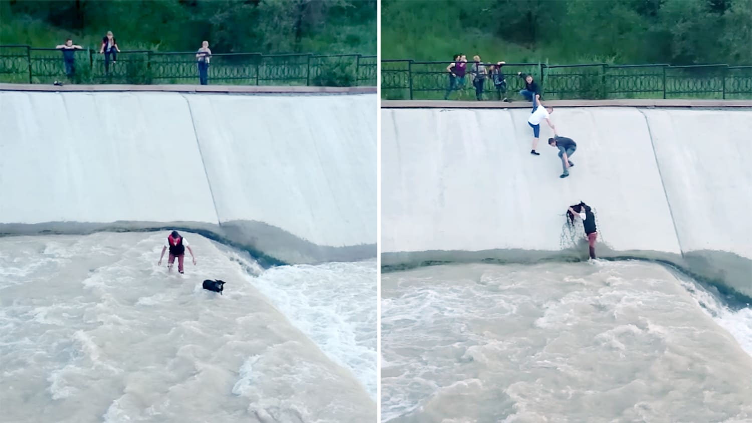 Friends form human chain to save dog stuck in reservoir