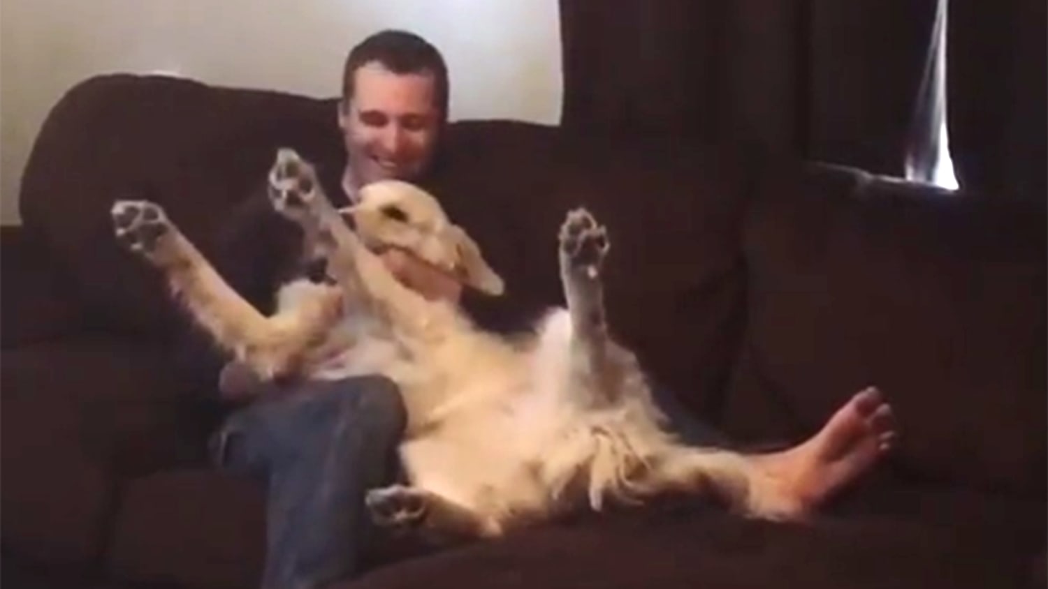 Dogs Falling atelieryuwa.ciao.jp