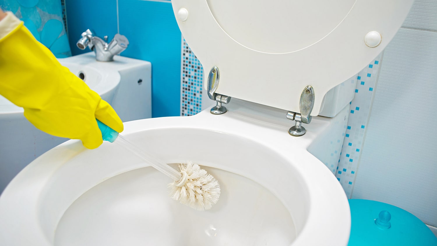 How to clean a toilet bowl