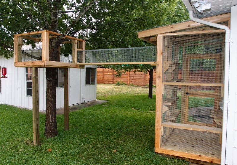chicken coop catio