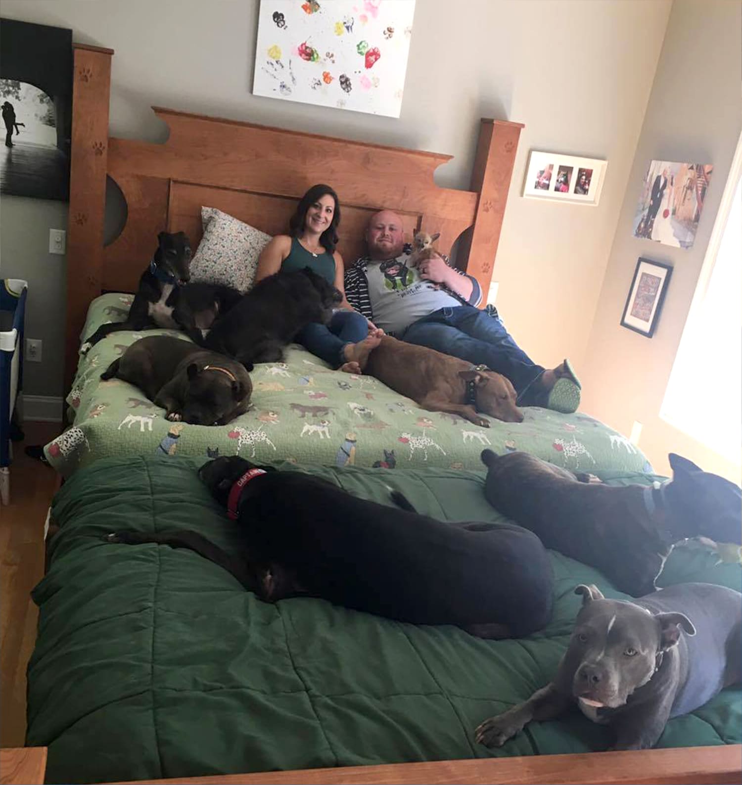 Giant Bed To Sleep Comfortably With 8 Dogs, King Size Bed With Dog Attached
