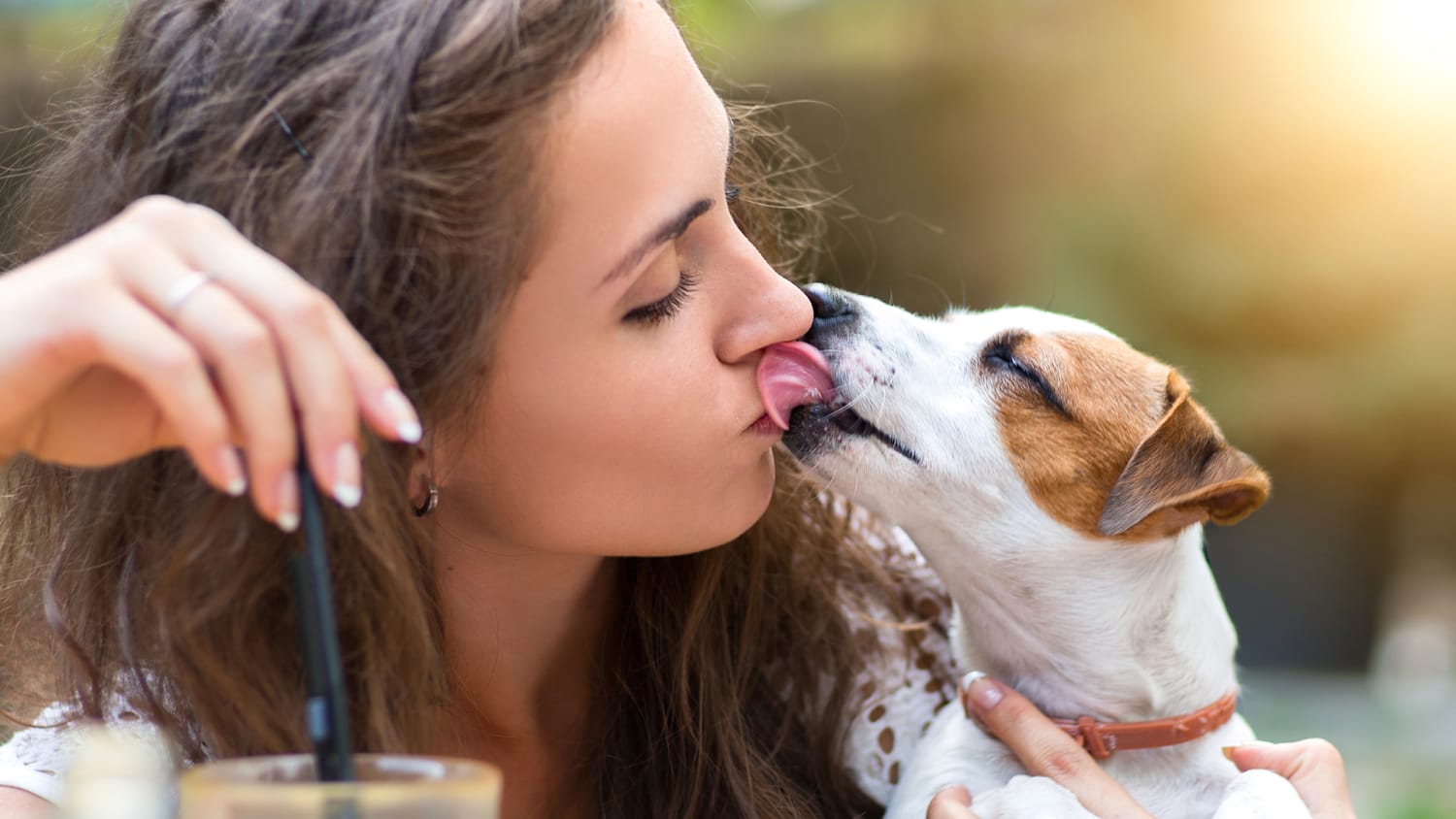 No pooch smooches! Scientists say you shouldn't let your dog lick your face