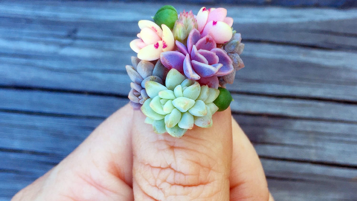 Succulent nails are the latest nail art trend