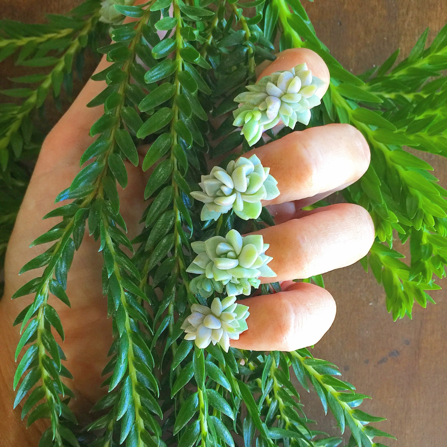Succulent nails are the latest nail art trend