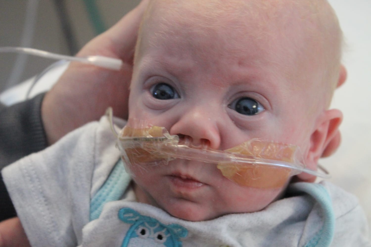 Defying the odds: Child born four months premature celebrates
