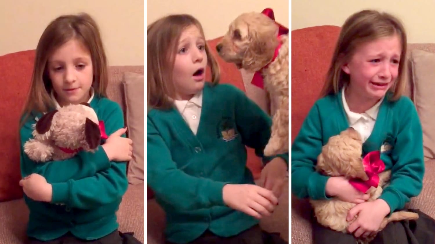 See This Girl S Amazing Reaction As Her Stuffed Animal Transforms Into A Real Life Puppy