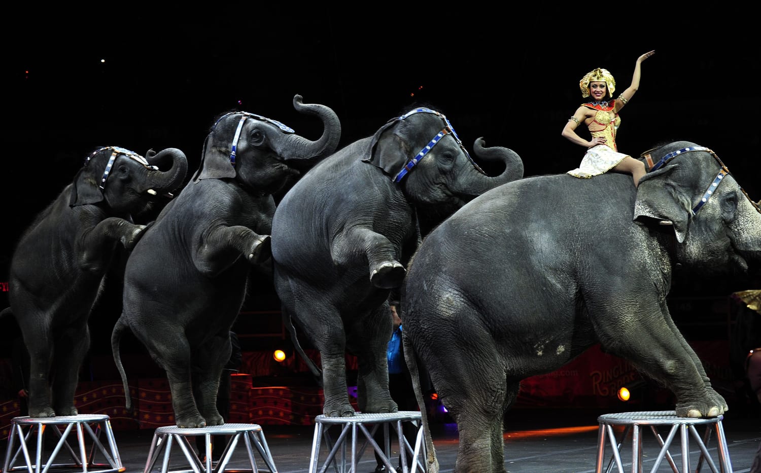 Ringling Bros. 'The Greatest Show On Earth' takes its final bow - The San  Diego Union-Tribune