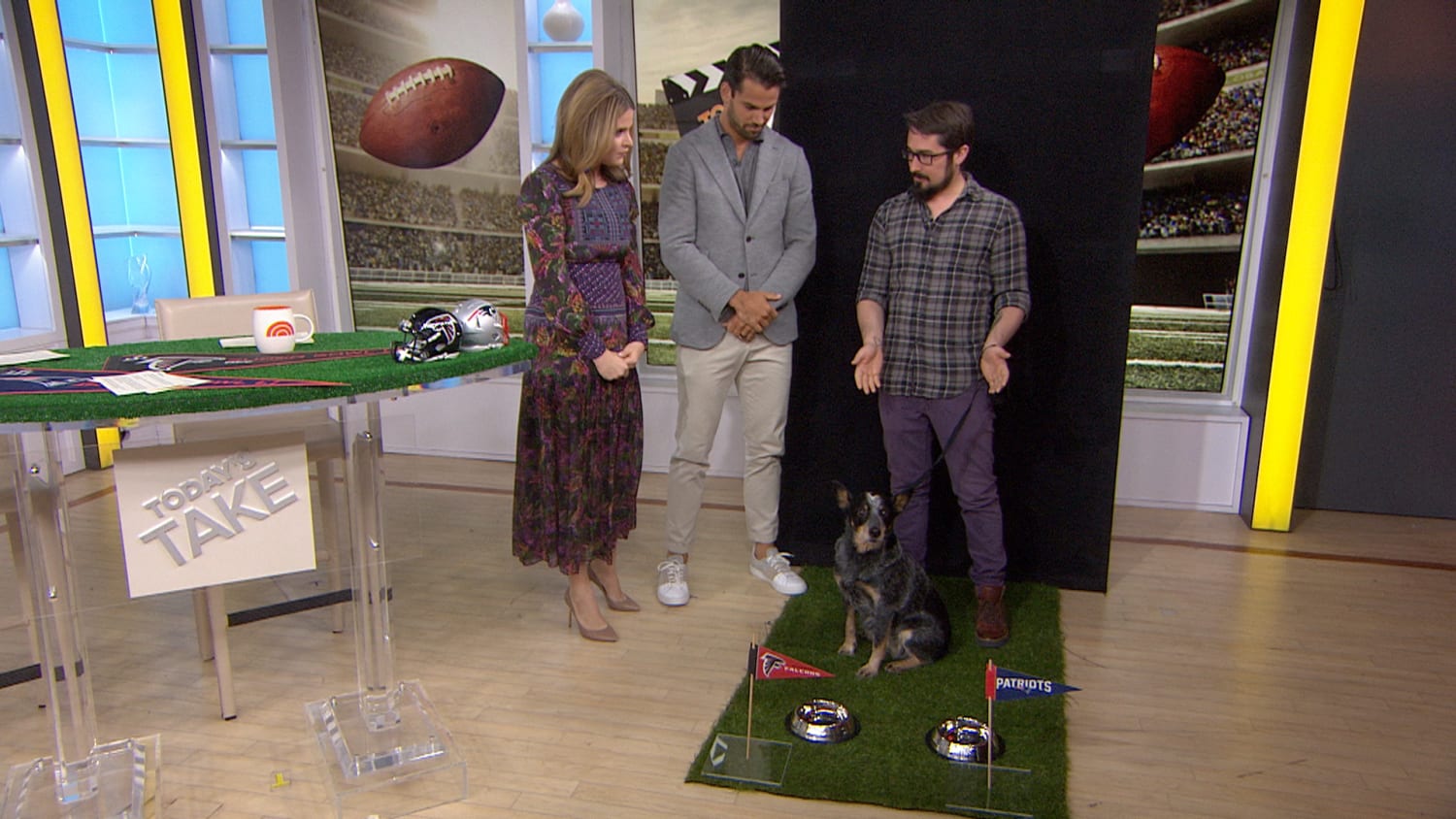 FOX 17 Morning Show pups predict who wins Super Bowl LVII in 'Puppy Playoff'