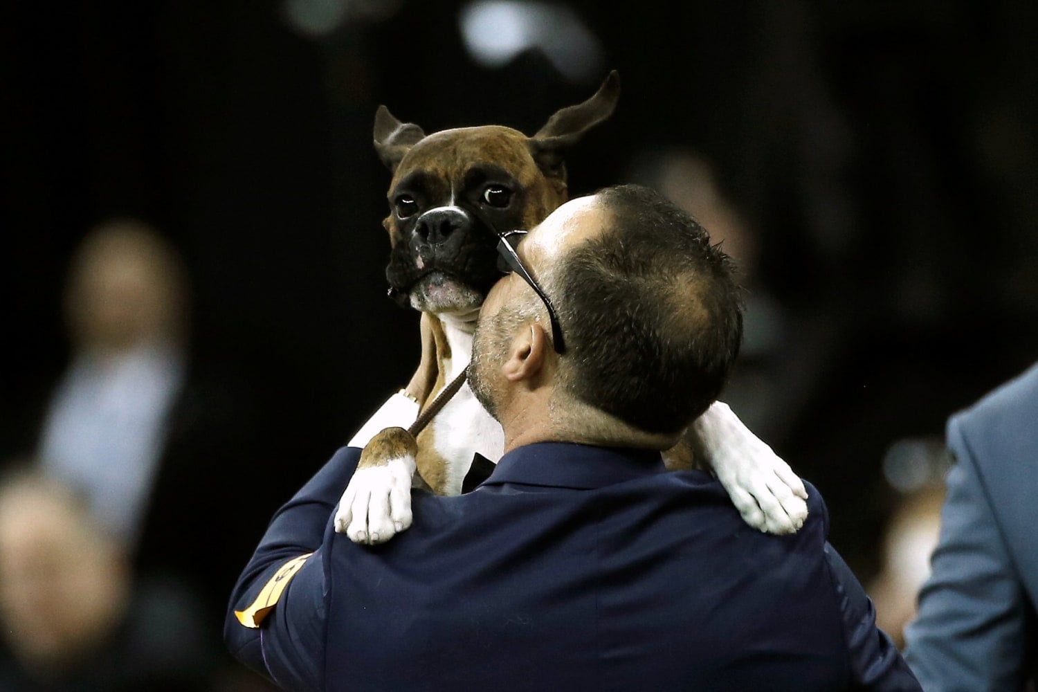 Is There Prize Money For Westminster Dog Show