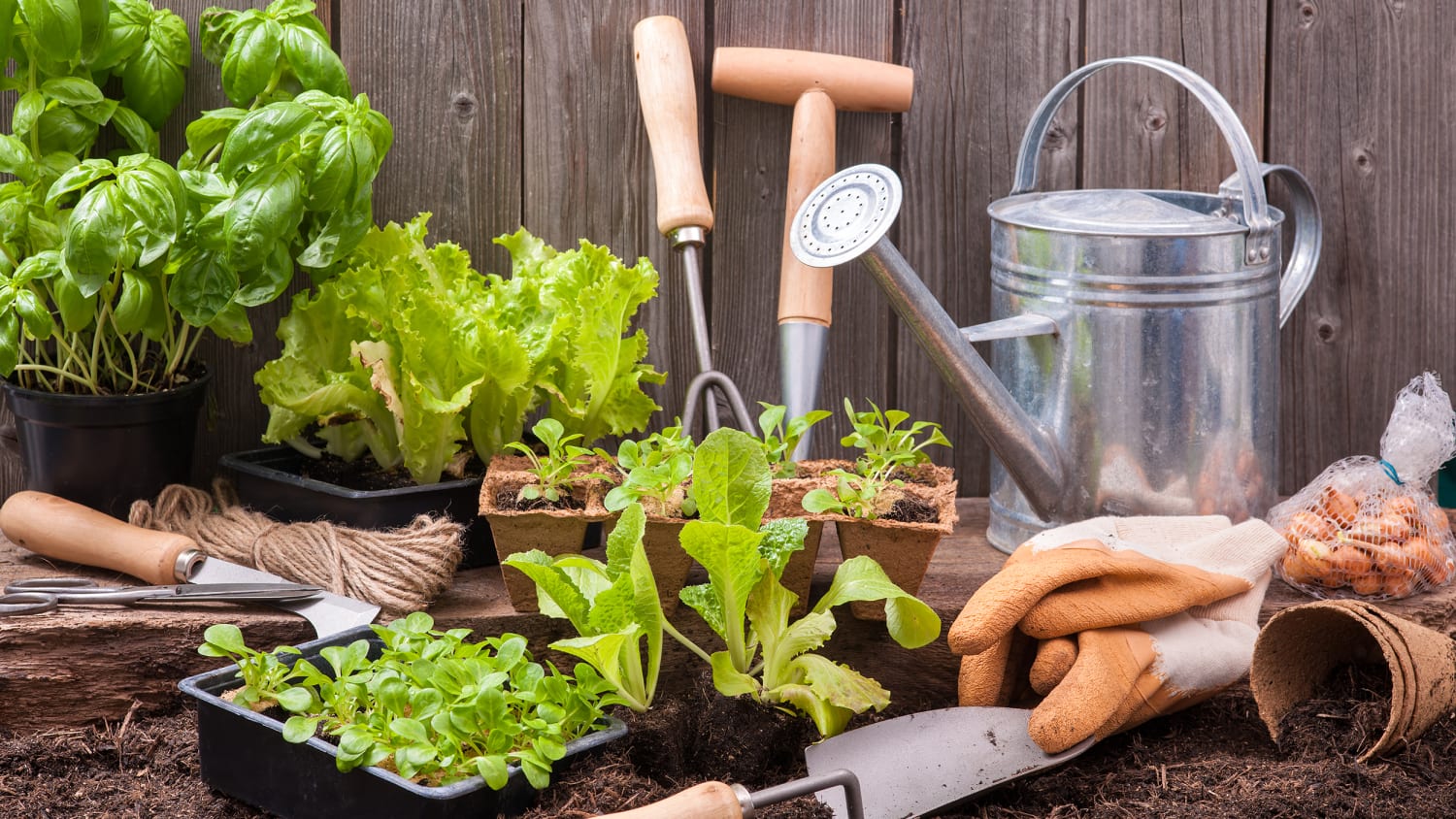 Home Gardening Tips