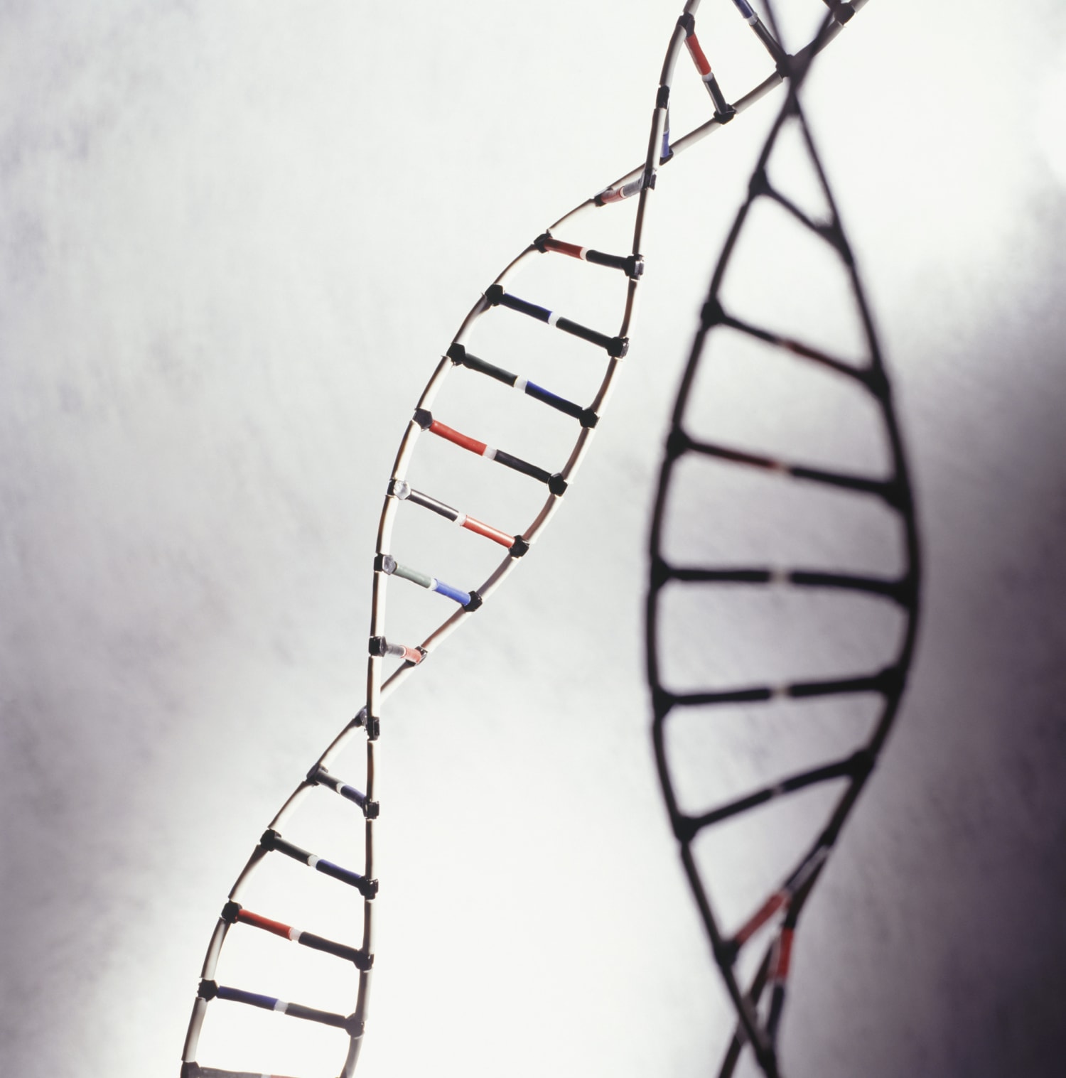 https www nbcnews com health health news dna scan finds 18 new autism genes n729766