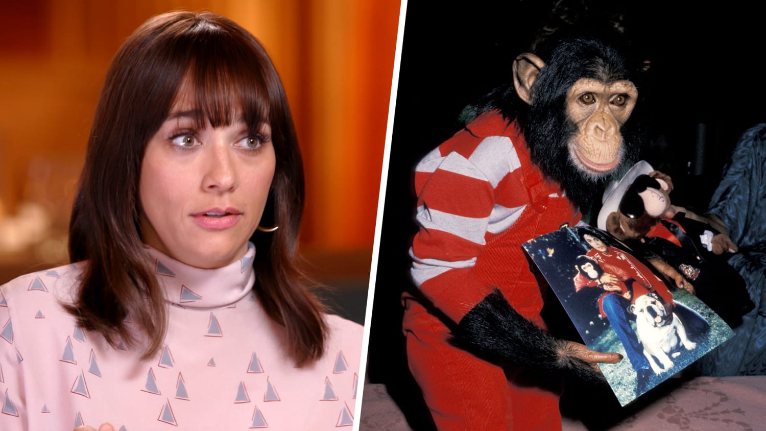 Dady Rashida Rashida Jones Buachaill Rashida Jones Was Bit By Michael Jackson's