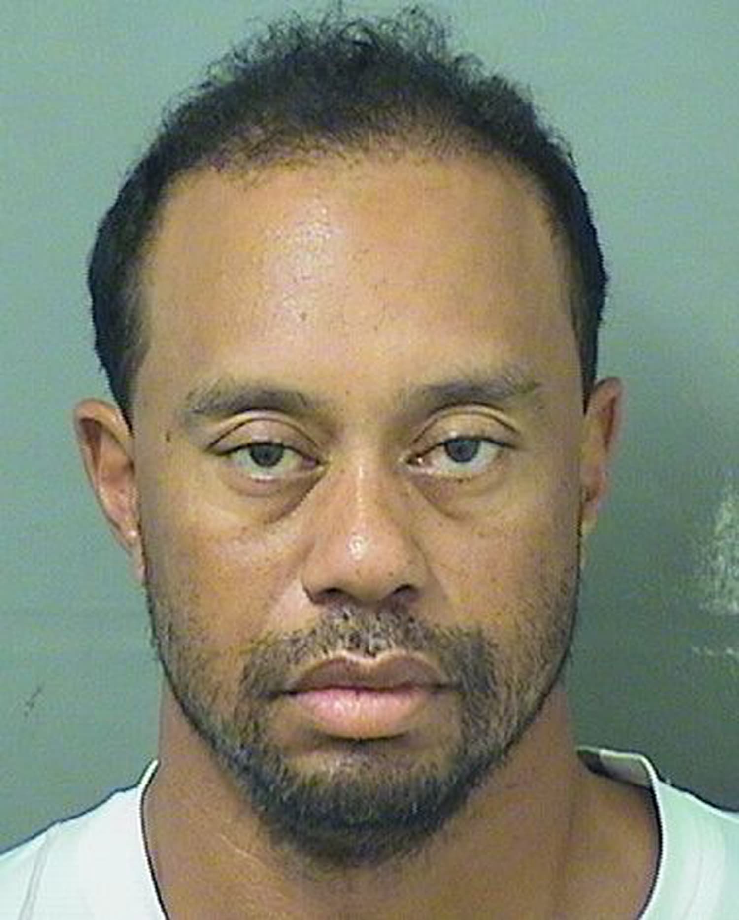 Tiger Woods Arrested for DUI in Florida photo