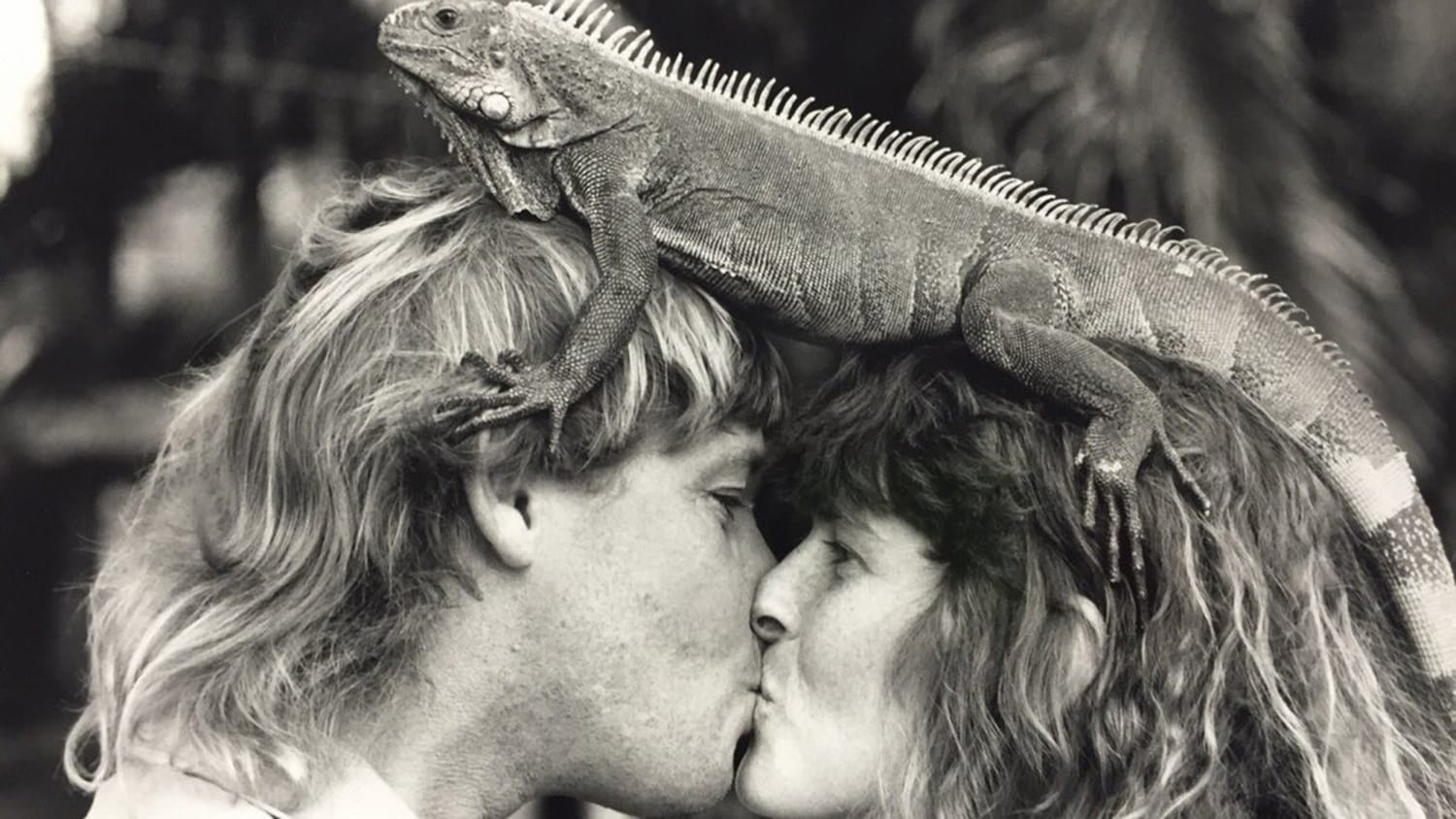 Steve And Terri Irwin