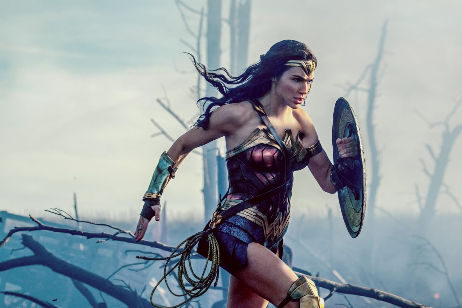 Make an image of the character wonder woman, who is played by