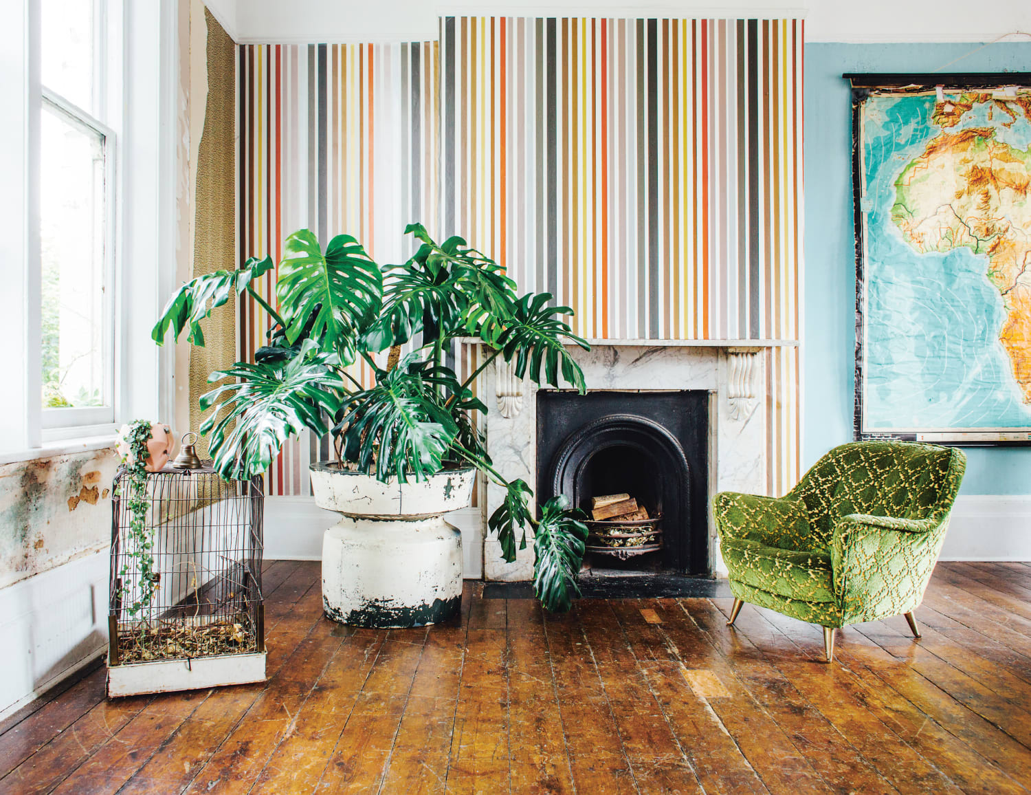 indoor plants living room