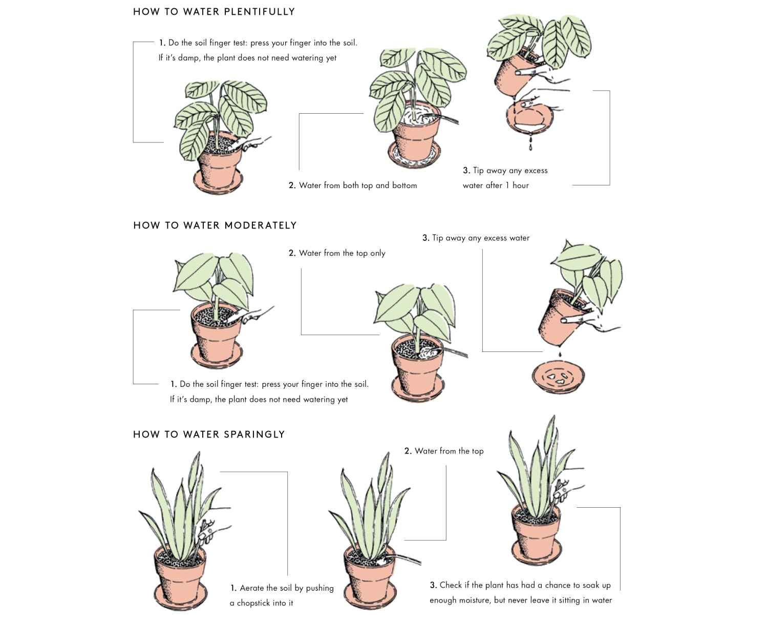 Kokedama – JUSTPLANTS