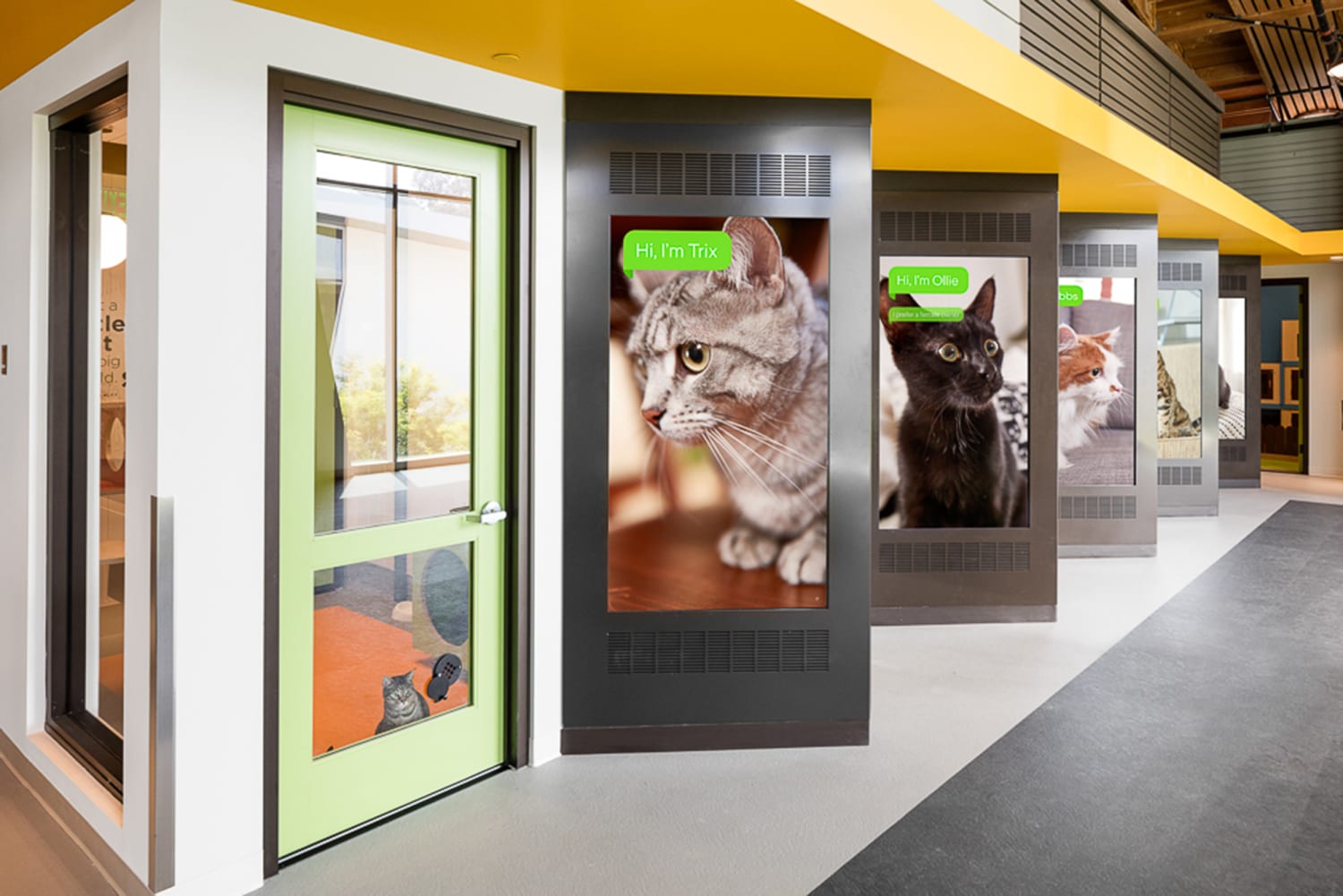 Annenberg PetCenter will make you rethink animal shelters