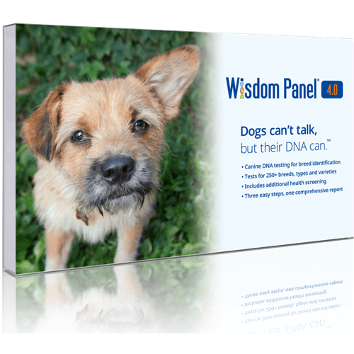 wisdom panel 4.0 amazon