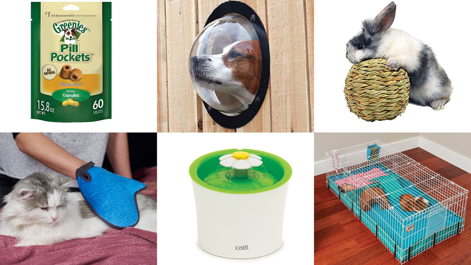 The 13 best products, gadgets and tools for pets on Amazon