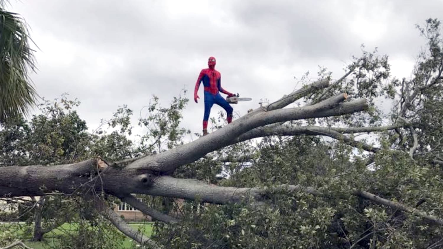 Real-life Spider-Man helps in Florida after Hurricane Irma