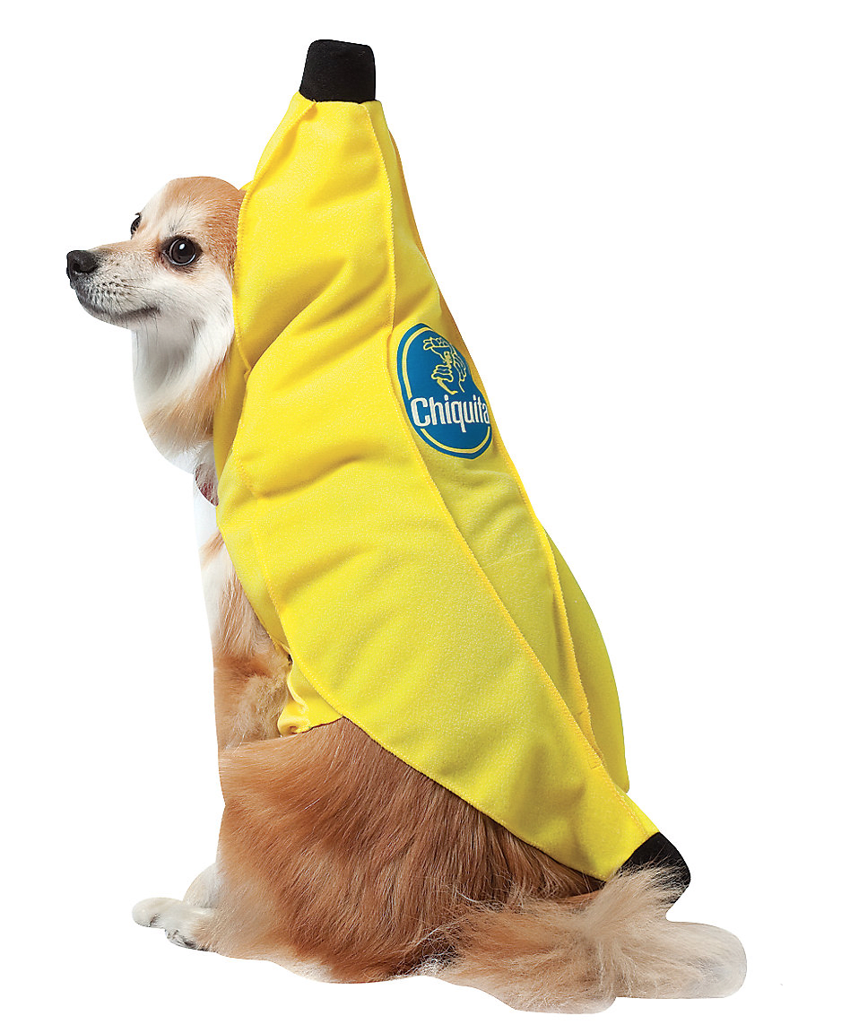 11 adorable matching Halloween costumes for kids and pets