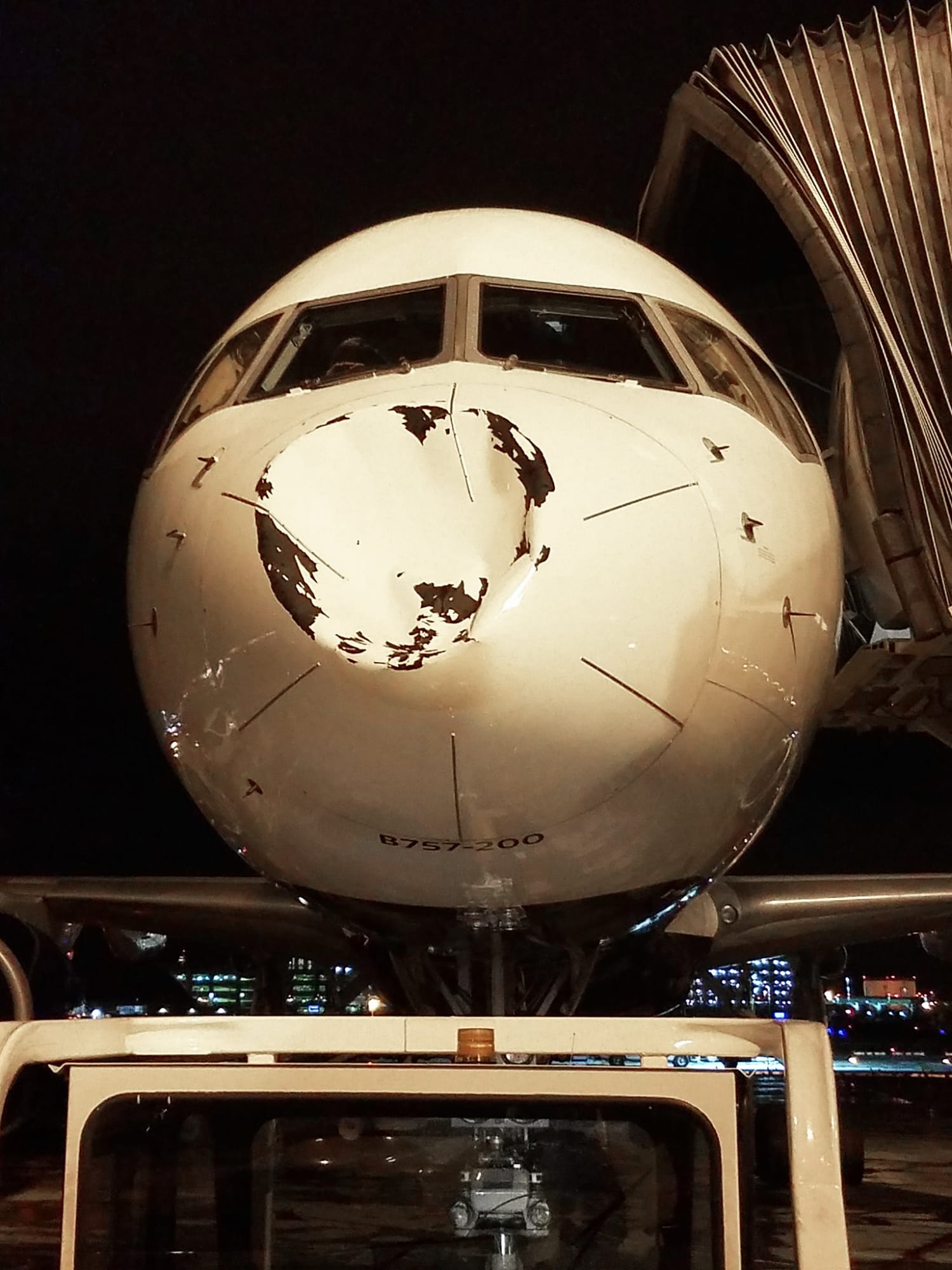 Plane Carrying Oklahoma City Thunder Suffers Major Dent After Bird