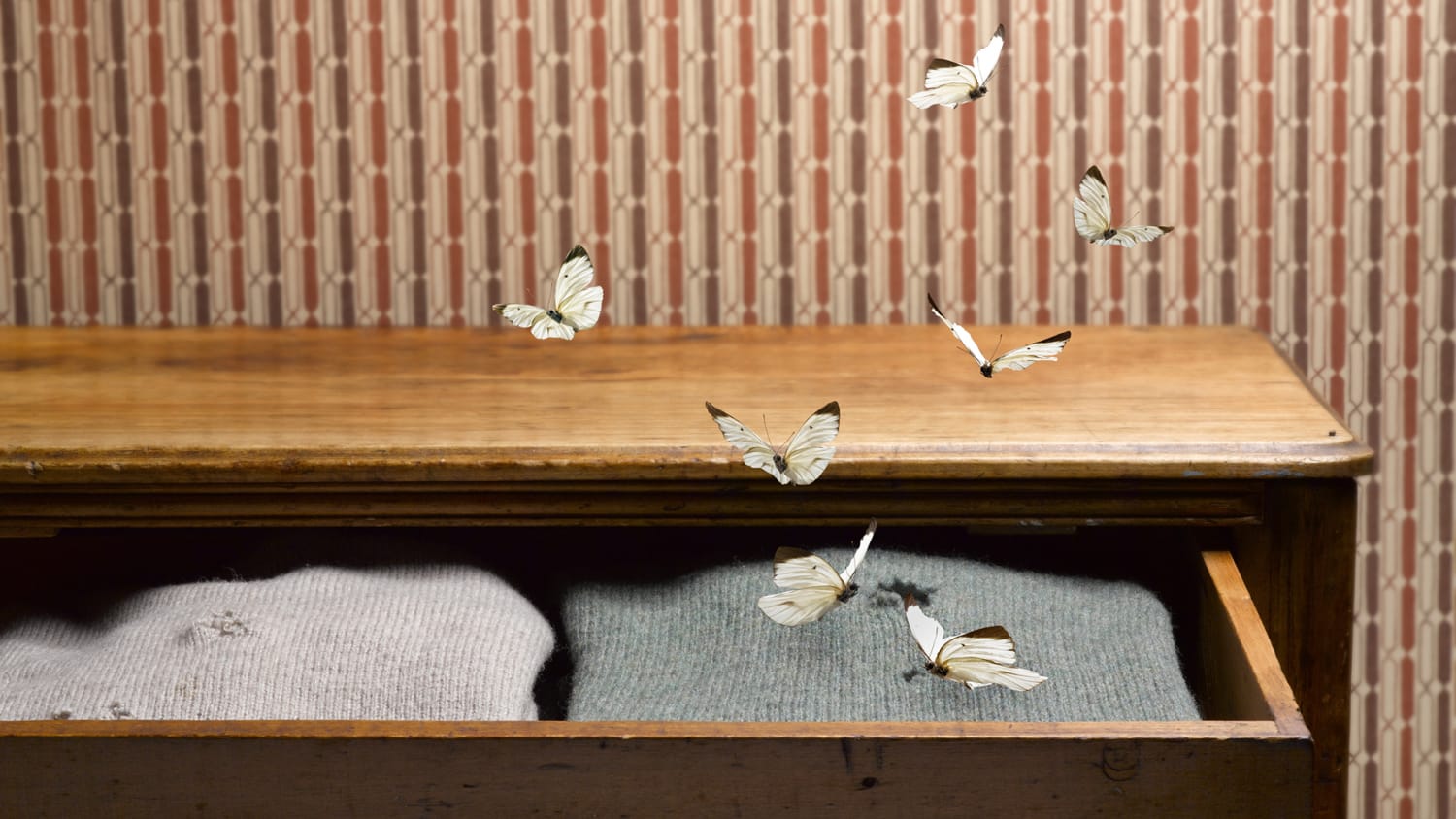 How can I avoid moths getting into my wardrobe? 