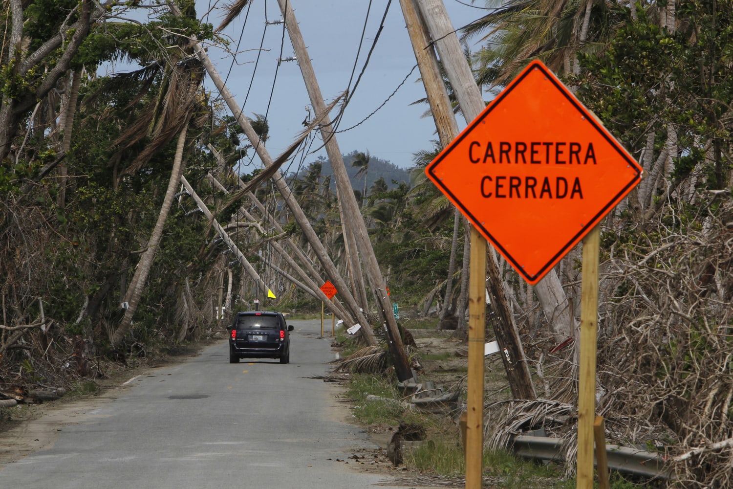 hahahahahahahaha I am hiding! - Picture of Humacao, Puerto Rico