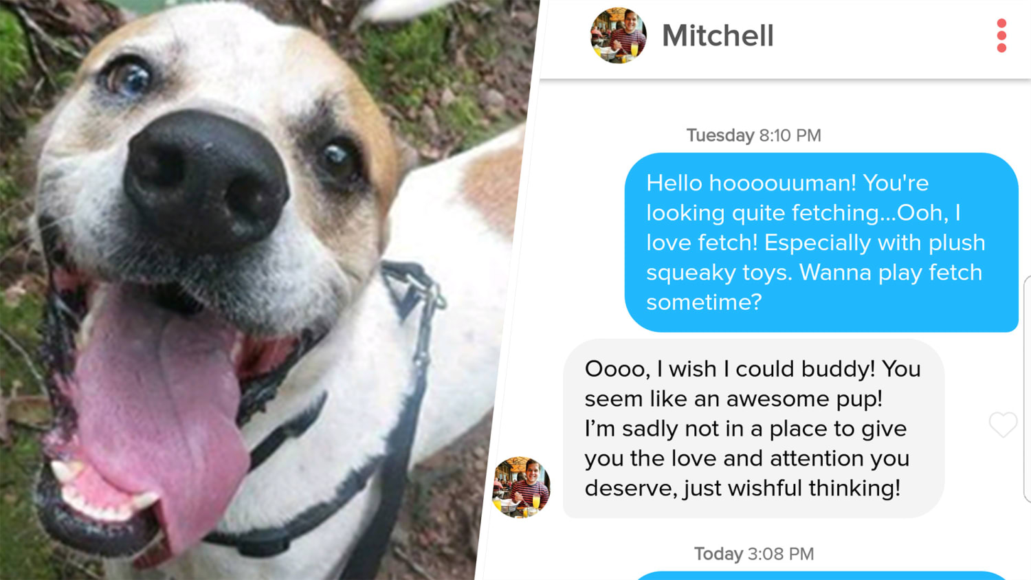 Animal shelter puts dog on Tinder to help him find true love