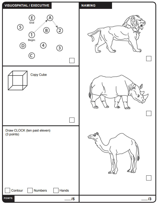 Cognitive Test Online