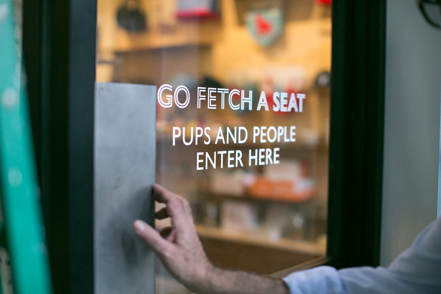 Dog café in New York City: Boris & Horton pairs coffee with canines