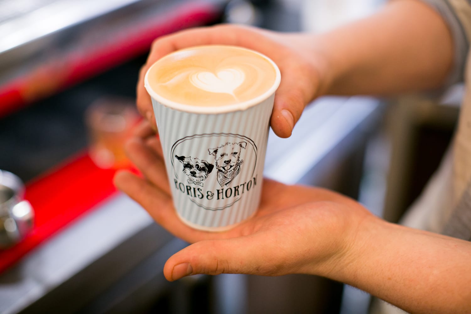 Dog café in New York City: Boris & Horton pairs coffee with canines