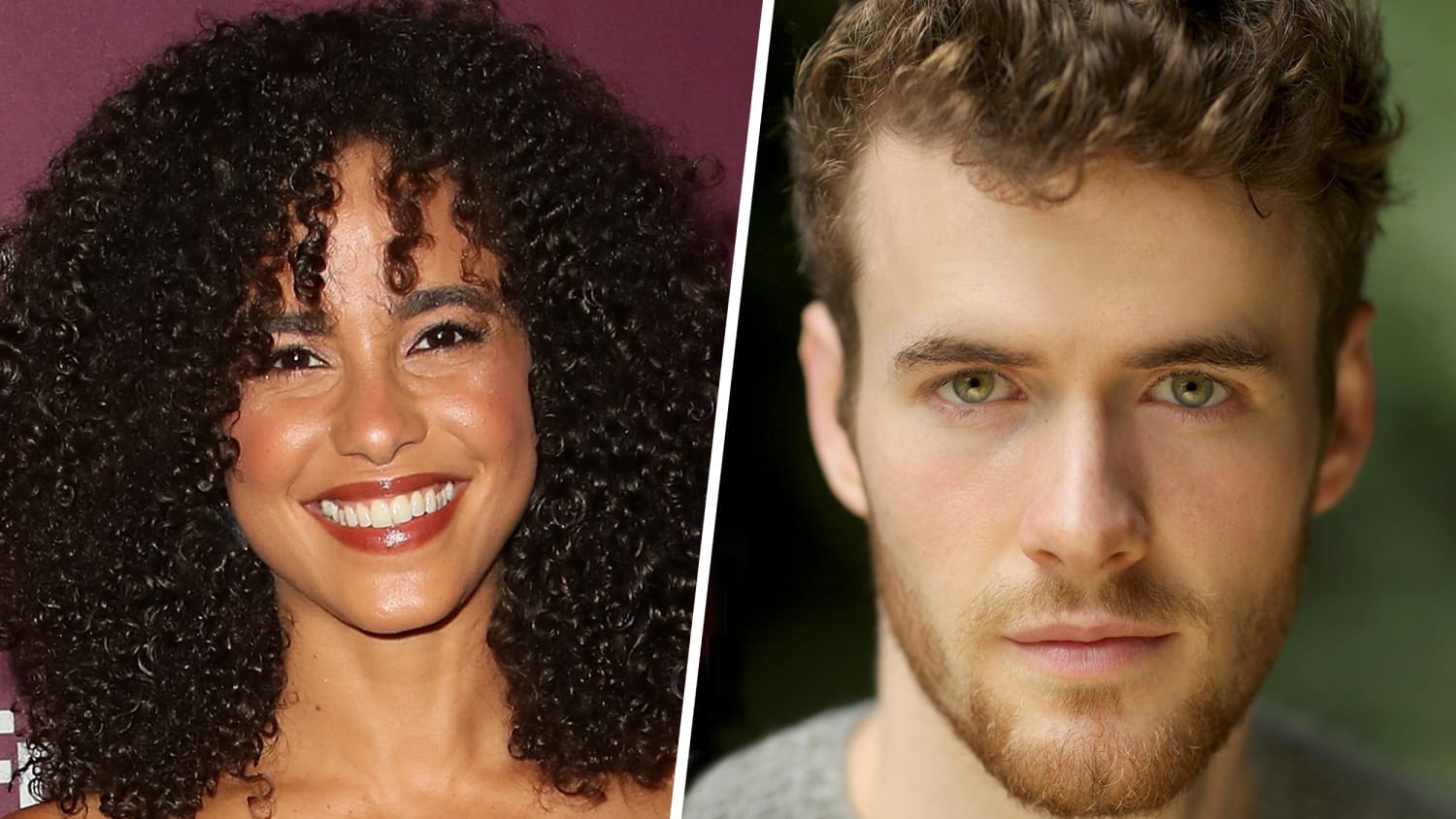 Parisa Fitz-Henley posts first pic of Lifetime's Meghan and Harry on I...