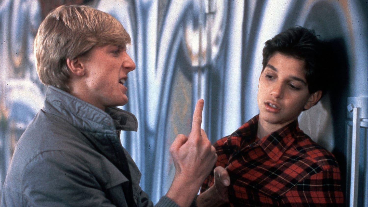 new 'Karate Kid' series 'Cobra Kai 